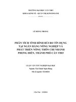 phân tích tình hình rủi ro tín dụng tại ngân hàng nông nghiệp và phát triển nông thôn chi nhánh phong điền, thành phố cần thơ