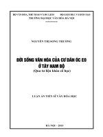 Đời sống văn hoá của cư dân Óc Eo ở Tây Nam Bộ (Qua tư liệu khảo cổ học)