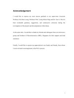 Electromagnetic simulation and analysis for novel filter design