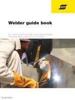 Hướng dẫn cách chọn và điều chỉnh trước khi hàn mig mag của hãng ESAB