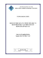 lkhảo sát hiệu quả của thuốc hóa học và dịch trích thực vật trên nấm gây bệnh lem lép hạt lúa