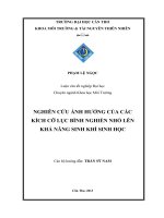 nghiên cứu ảnh hưởng của các kích cỡ lục bình nghiền nhỏ lên khả năng sinh khí sinh học