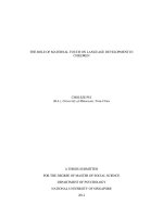 The role of maternal touch on language development in children 