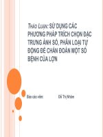 Sử dụng các phương pháp trích chọn đặc trưng ảnh số, phân loại tự động chẩn đoán một số bệnh của lợn