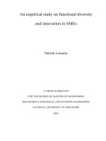 An empirical study on functional diversity and innovation in SMEs