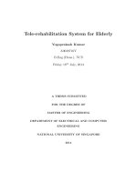 Modeling with renormalization group and randomization 