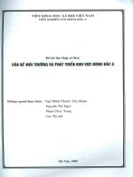 Vấn đề môi trường và phát triển khu vực đông bắc á 