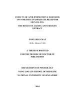 Effects of apolipoprotein e on n methyl d aspartate receptor signalling the roles of ageing and chicken extract