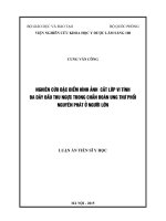 Nghiên cứu đặc điểm hình ảnh cắt lớp vi tính đa dãy đầu thu ngực trong chẩn đoán ung thư phổi nguyên phát ở người lớn