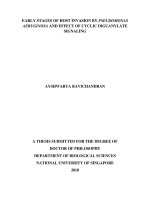 Early stages of host invasion by pseudomonas aeruginosa and effect of cyclic diguanylate signaling