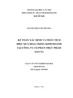 kế toán xác định và phân tích hiệu quả hoạt động kinh doanh tại công ty cổ phần thực phẩm sao ta