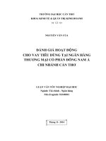 đánh giá hoat ̣ động cho vay tiêu dùng tại ngân hàng thương mại cổ phần đông nam á chi nhánh cần thơ