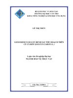 giám định nấm gây bệnh sau thu hoạch trên củ cà rốt (daucus carota l.)