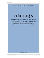 TIỂU LUẬN VẤN ĐỀ ĐẠO ĐỨC VÀ VĂN HOÁ NGHỀ LUẬT SƯ VIỆT NAM  THỰC TRANG VÀ PHƯƠNG HƯỚNG HOÀN THIỆN