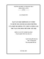 Tạo vật liệu khởi đầu in vitro và bước đầu đánh giá sinh trưởng của một số giống cúc chất lượng cao thu tại làng hoa mê linh   hà nội