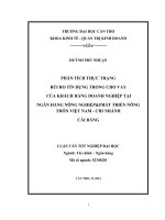 phân tích thực trạng rủi ro tín dụng trong cho vay của khách hàng doanh nghiệp tại ngân hàng nông nghiệpphát triển nông thôn việt nam  chi nhánh cái răng
