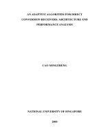 An adaptive algorithm for direct conversion receivers architecture and performance analysis