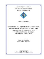 ảnh hưởng của biện pháp xử lý rơm trên đất phù sa  trồng lúa đến sự phát thải khí ch4, n2o và năng   suất  vụ đông xuân 2012  2013 tại bình minh  vĩnh  long