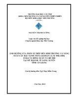 ảnh hưởng của phân xỉ thép đến sinh trưởng và năng suất cây đậu xanh vigna radiata (l) r. wilczek ở hai vụ đông xuân và hè thu tại mỹ khánh, tp long xuyên tỉnh an giang