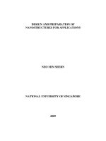 Design and preparation of nanostructures for applications