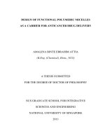Design of functional polymeric micelles as a carrier for anticancer drug delivery