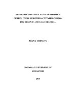 Synthesis and application of hydrous cerium oxide modified activated carbon for arsenic and lead removal 