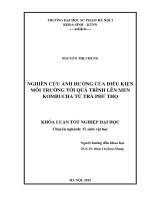 Nghiên cứu ảnh hưởng của điều kiện môi trường tới quá trình lên men kombucha từ trà phú thọ