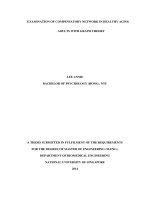 Examination of compensatory network in healthy aging adults with graph theory 
