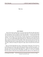 Thiết kế bình phản ứng sản