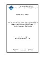 điều tra hiện trạng canh tác và xác định thành phần nấm hiện diện trên hạt của hai giống lúa tại huyện châu phú tỉnh an giang