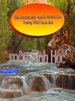 Bài giảng sinh học 8 bài 9 cấu tạo và tính chất của cơ thao giảng (16) 