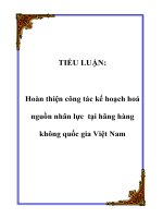 Tiểu luận hoàn thiện công tác kế hoạch hoá nguồn nhân lực tại hãng hàng không quốc gia việt nam 
