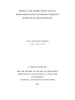 Design and fabrication of III v semiconductor nanostructures by molecular beam epitaxy