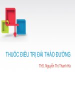 Thuốc Điều Trị Đái Tháo Đường