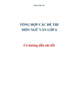Tổng hợp đề thi ngữ văn lớp 6 có hướng dẫn chi tiết