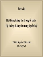 Báo cáo hệ thống thông tin trong tổ chức   hệ thống thông tin trong quốc hội   TSKH nguyễn minh hải