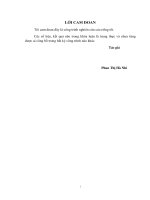 Nghiên cứu khả năng sinh trưởng, phát triển và xử lý nước thải chế biến cao sư của cỏ vetiver