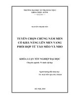 Tuyển chọn chủng nấm men có khả năng lên men vang phối hợp từ táo mèo và nho