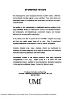 Abnormal returns in emerging equity markets 