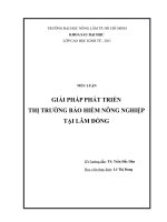 TIỂU LUẬN GIẢI PHÁP PHÁT TRIỂN THỊ TRƯỜNG bảo HIỂM NÔNG NGHIỆP tại lâm ĐỒNG 