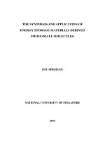 The synthesis and application of energy storage materials derived from small molecules 