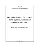 GÓP PHẦN NGHIÊN cứu lên MEN TỔNG hợp KHÁNG SINH NHỜ STREPTOMYCES 173 113