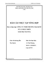 báo cáo thực  tập công ty TNHH thương mại quốc tế và phát triển giáo dục HAVINA