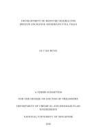 Development of reduced models for proton exchange membrane fuel cells