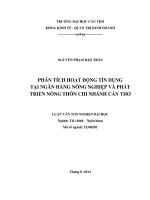 phân tích hoạt động tín dụng tại ngân hàng nông nghiệp và phát triển nông thôn chi nhánh cần thơ