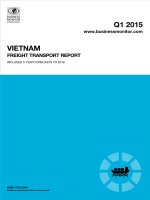 Vietnam freight transport report   q1 2015 