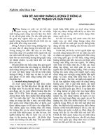 Vấn đề an ninh năng lượng ở đông á  thực trạng và giải pháp 