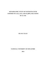Metabolomic study of water hyacinth exposed to CuCI2, FeCI3, Na2HPO4 solution by GC m 