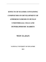 Effects of sulfide containing compounds on development of atherosclerosis in human endolthelial cells and hyperlipidemic rabbits