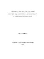 ASYMMETRIC ORGANOCATALYTIC HENRY REACTION OF ß¿SUBSTITUTED a KETO ESTERS VIA DYNAMIC KINETIC RESOLUTION